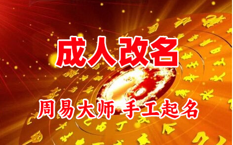 桐乡成人改名-找大师一对一改名先分析后改名